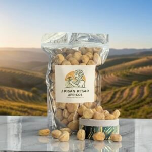 Premium Seedless Dried Apricots – Naturally Sweet & Soft Sun-Dried Khubani