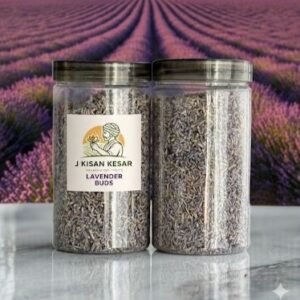 Premium Lavender Buds – Pure Dried Aromatic Lavender Flowers